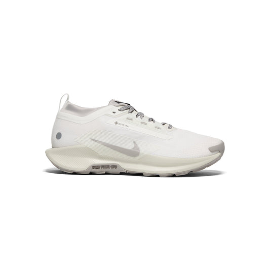 Nike Pegasus Trail 5 GORE-TEX SP (Summit White/College Grey/Light Bone)