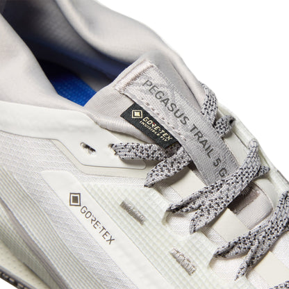 Nike Pegasus Trail 5 GORE-TEX SP (Summit White/College Grey/Light Bone)